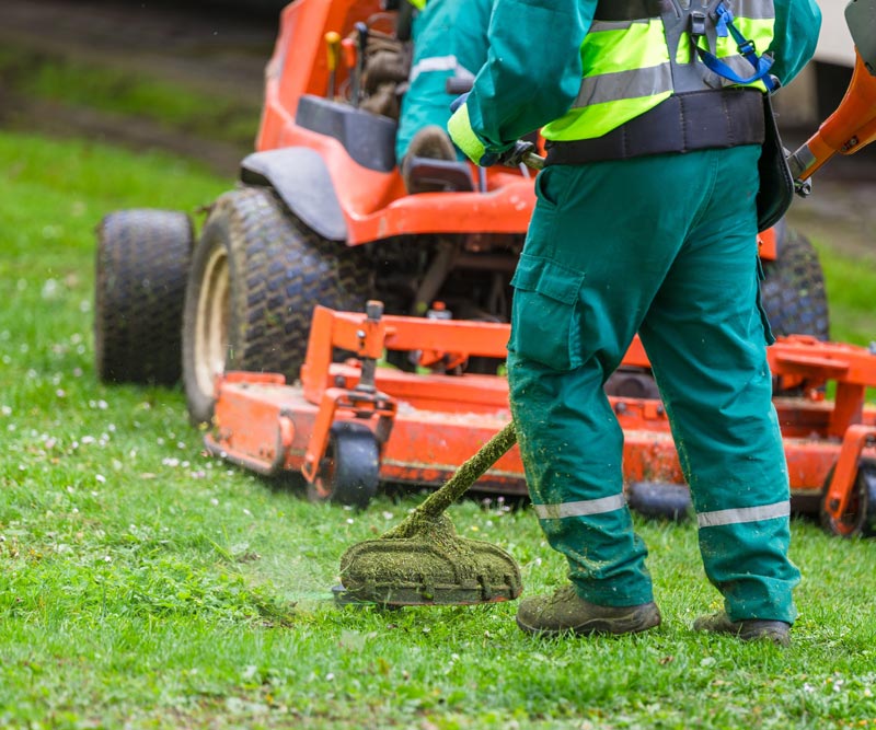 Landscaping and lawn care services insurance