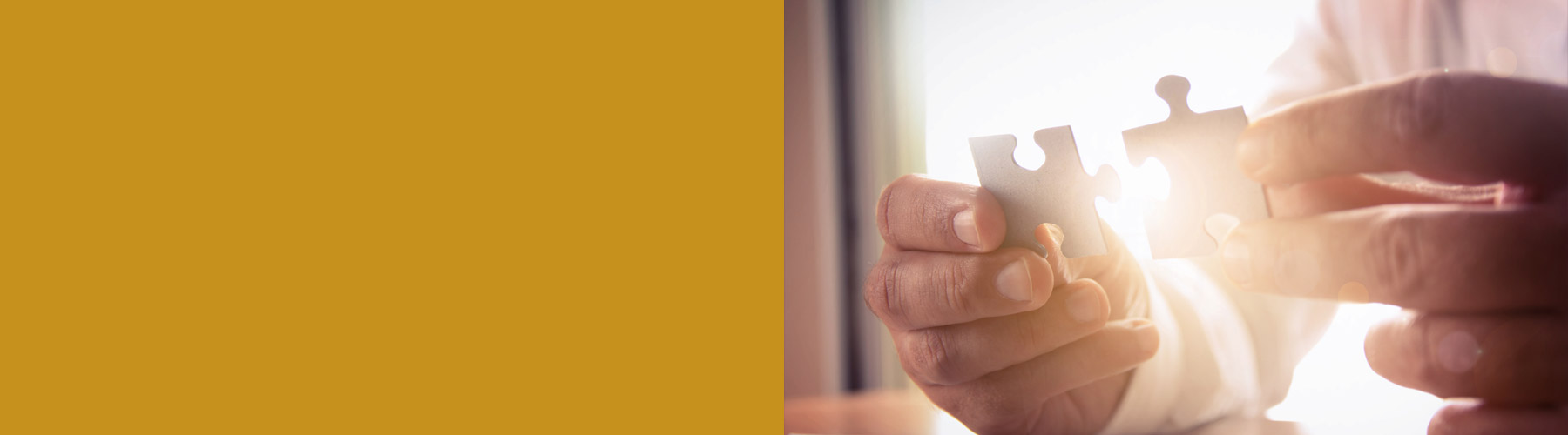 Insurance Applications Brownyard Group