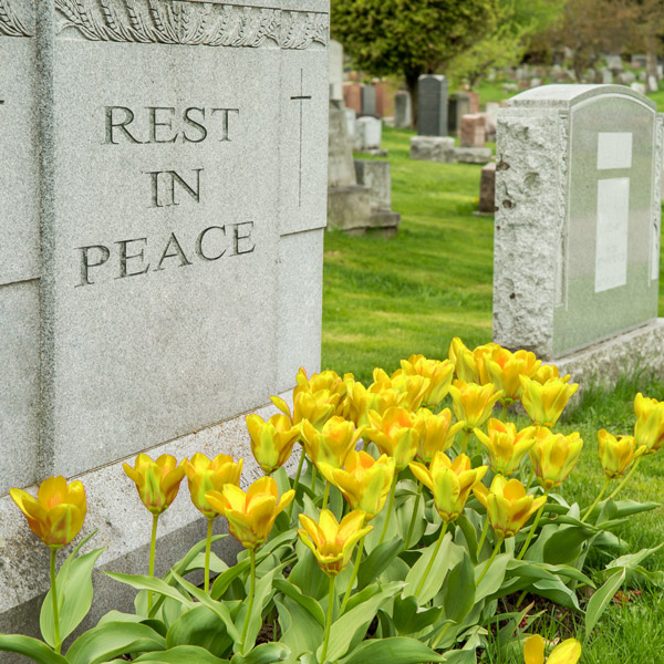 MemorialPro Liability Insurance for Cemeteries